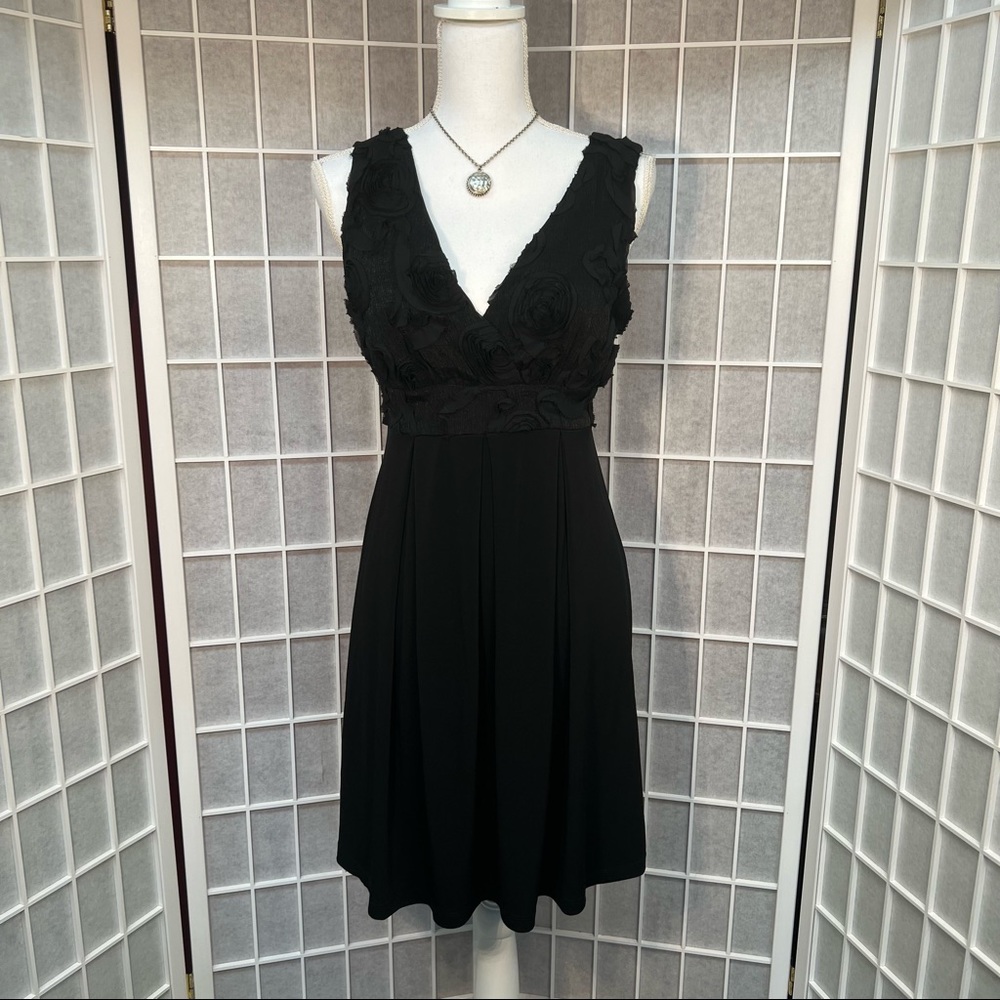 Enfocus Studio Little Black Dress 12